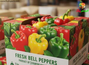 کارتن بسته بندی فلفل دلمه: از نمونه تا شیوه صحیح صادراتی