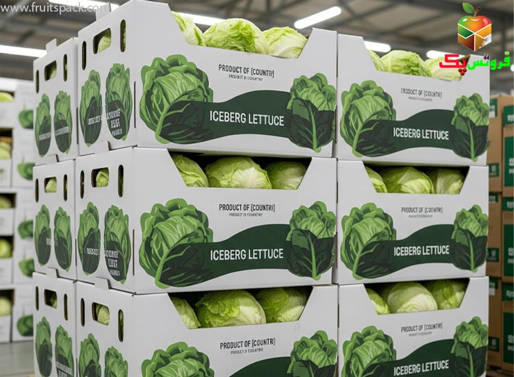 آناتومی یک کارتن ایده آل: ویژگی های فنی و مواد اولیه