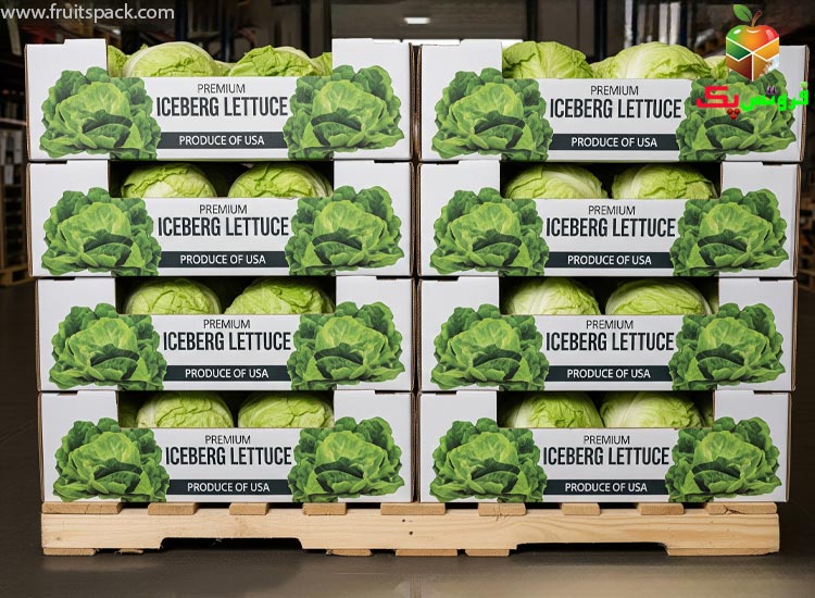 فراتر از مرزها: استانداردهای صادراتی کارتن کاهو آیس برگ