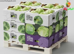 کارتن کاهو آیس برگ: راهنمای جامع بسته بندی صادراتی و حفظ تازگی (کلیک کنید!)