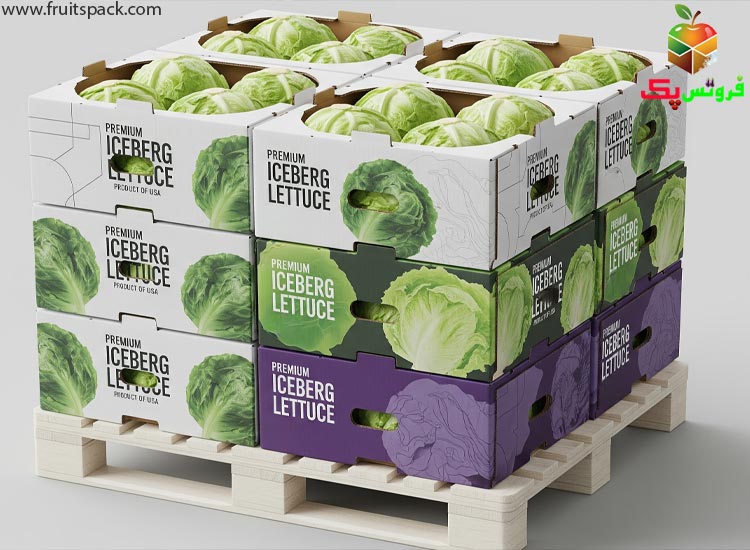 کارتن کاهو آیس برگ: راهنمای جامع بسته بندی صادراتی و حفظ تازگی (کلیک کنید!)
