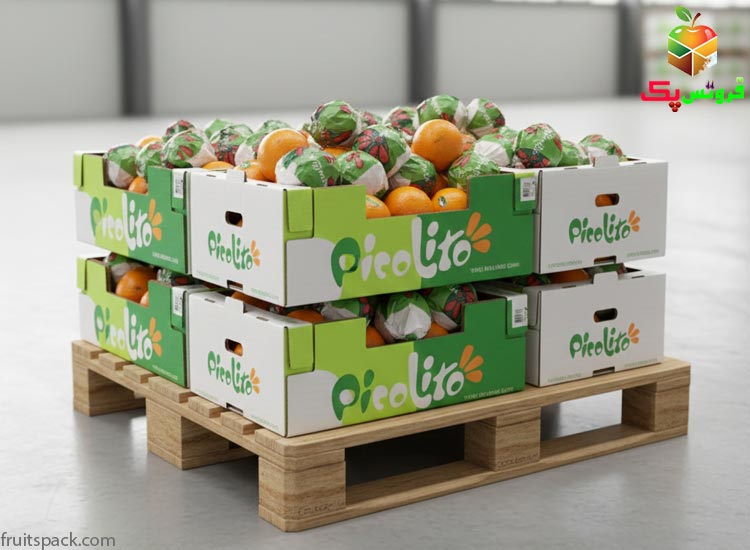 صفر تا صد تولید: انتخاب متریال و مدل کارتن پرتقال