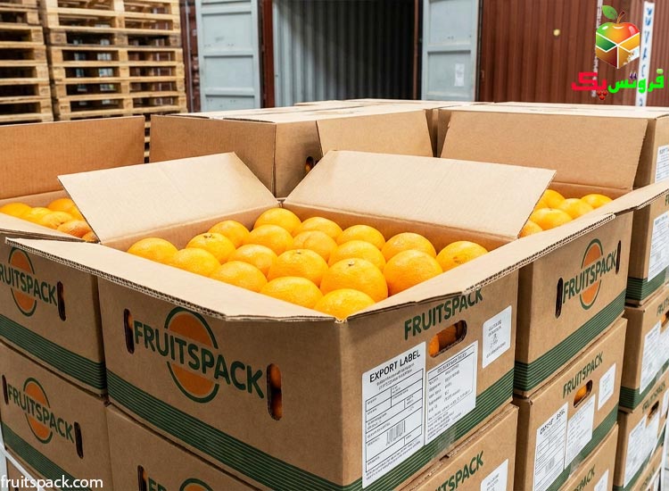 کارتن پرتقال چیست و چرا بسته بندی حرفه ای حیاتی است؟