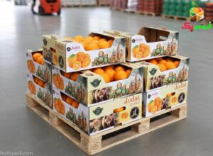 کارتن پرتقال صادراتی و داخلی: راهنمای جامع سفارش جعبه بسته بندی پرتقال (صفر تا صد)